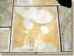 acid staining