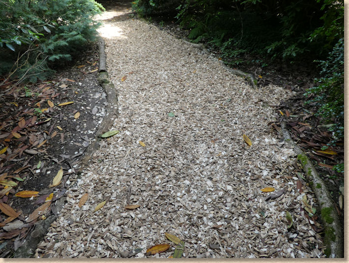woodchip pathway at Heligan Garden woodchip pathway at Heligan Garden