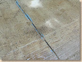 movement joint movement joint