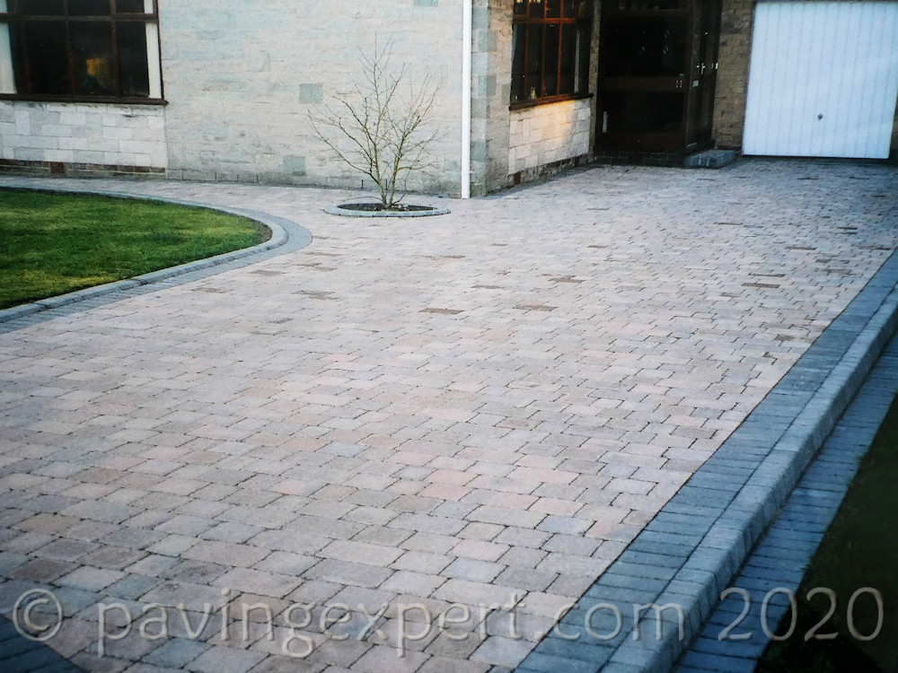 damp blocks after a few months