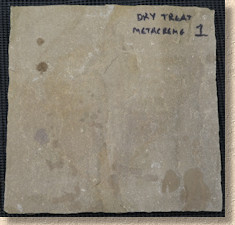 Dry Treat Metacreme Dry Treat Metacreme