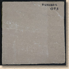 Funcosil OFS