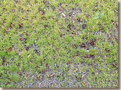 grass in grid pavers grass in grid pavers