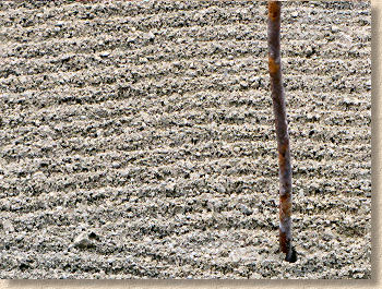 loosened screed