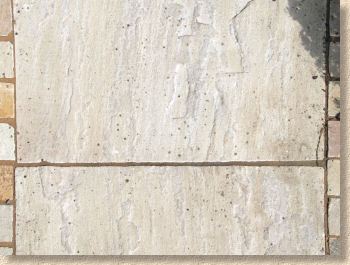 lichen on indian sanstone