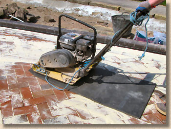 plate compactor with sole