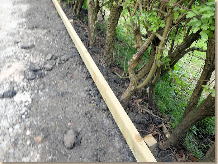 50x100mm timber edging on 50mm stakes newly installed timber edging
